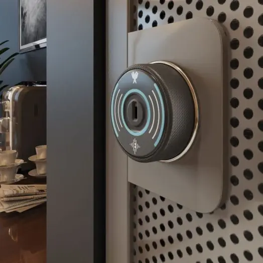 ECHO Battery-free Smart Lock 3450 - Secure Lockers.webp