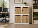 Slimline Mailing Metal Locker - Natural Oak - Secure Lockers.webp