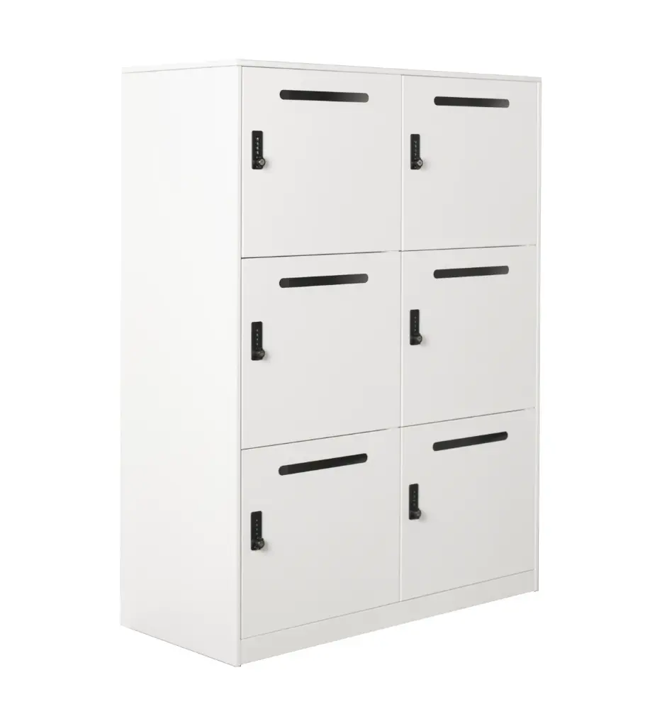 Slimline Mailing Metal Locker