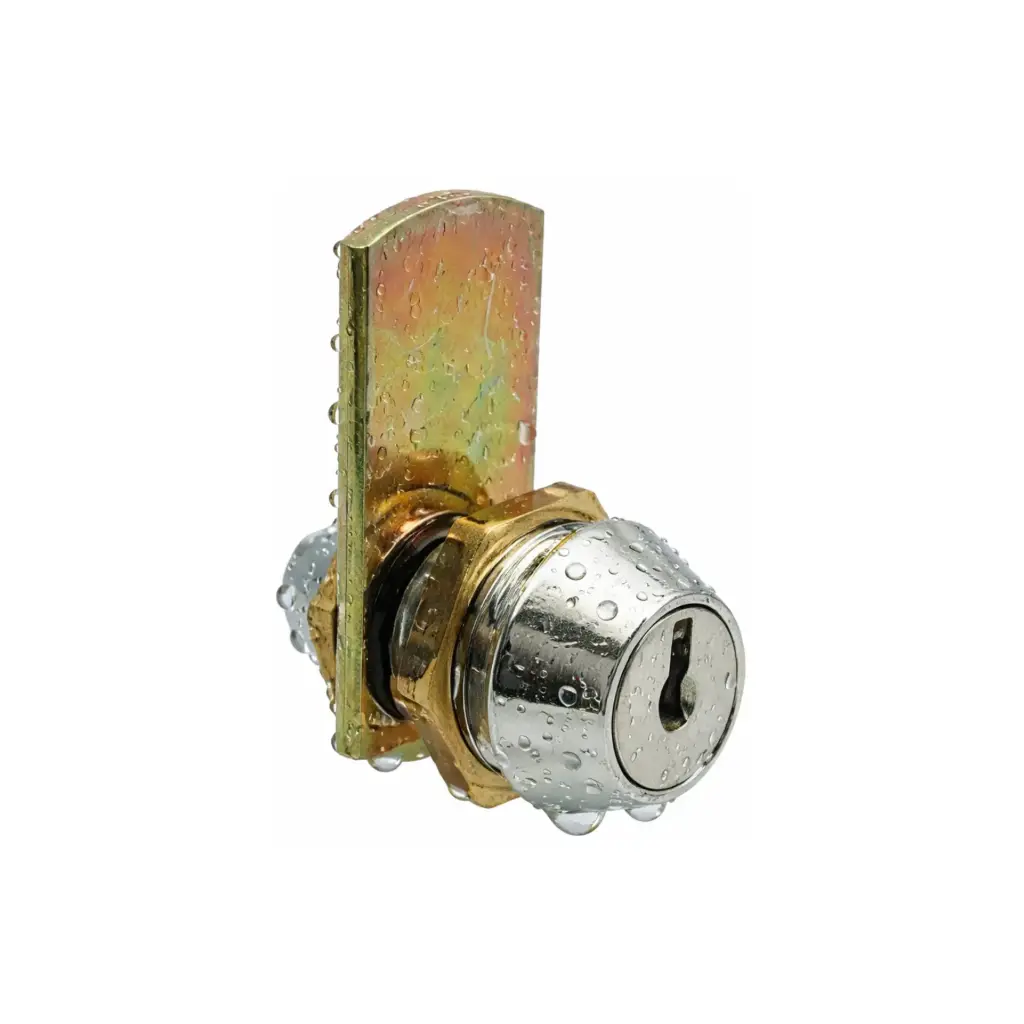 Wet Area Key Camlock | Water-Resistant Chrome Cam Lock for Lockers