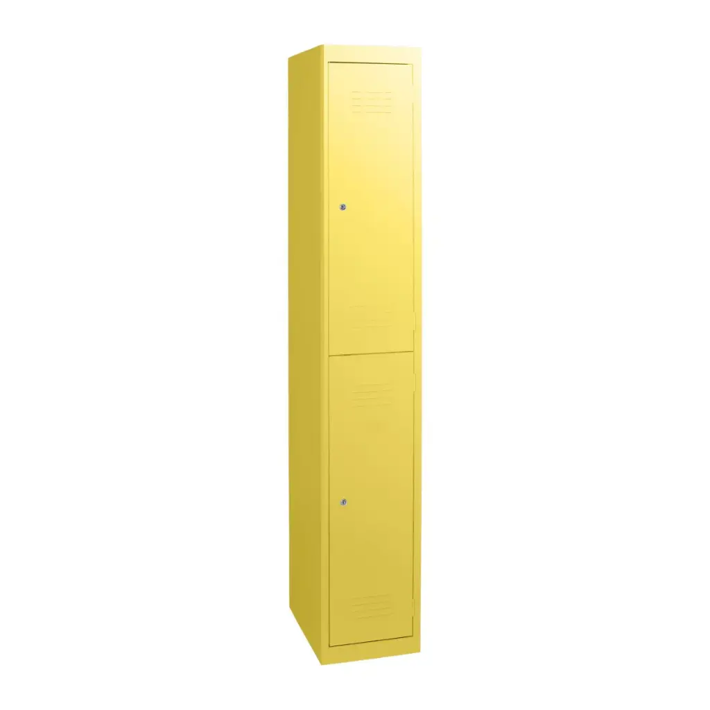2 Door Metal Locker  