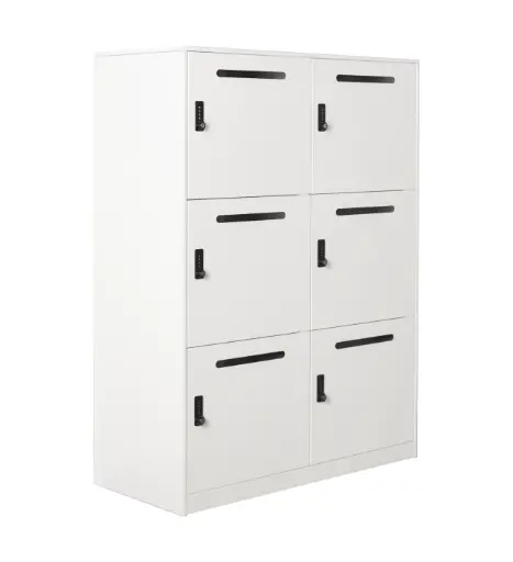 Slimline Mailing Metal Locker
